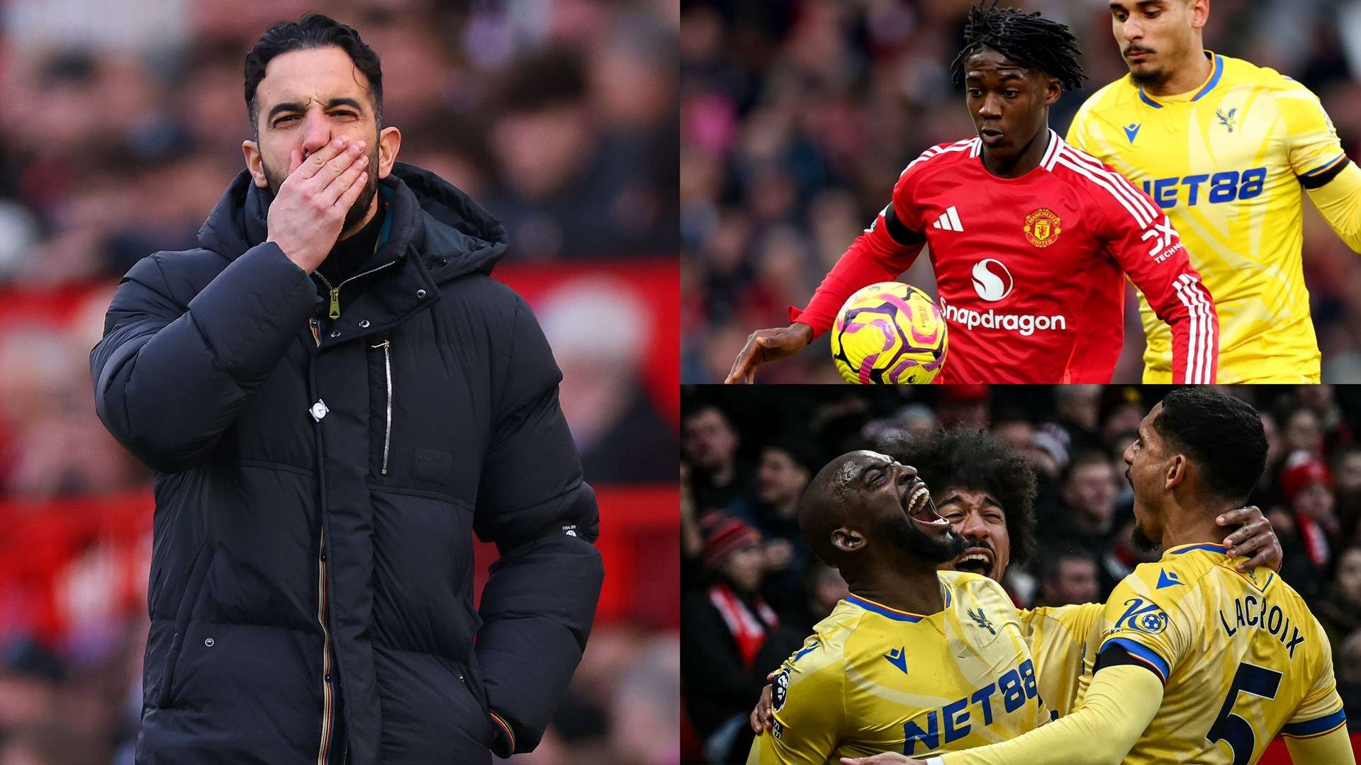 来看并不罕 来看并不罕