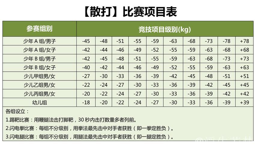 2025年北京武搏赛“阳光下一代”精彩收官 2025年北京武搏赛“阳光下一代”精彩收官